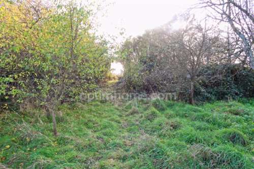 Velaine-sous-Amance Meurthe-et-Moselle terreno foto 7167733