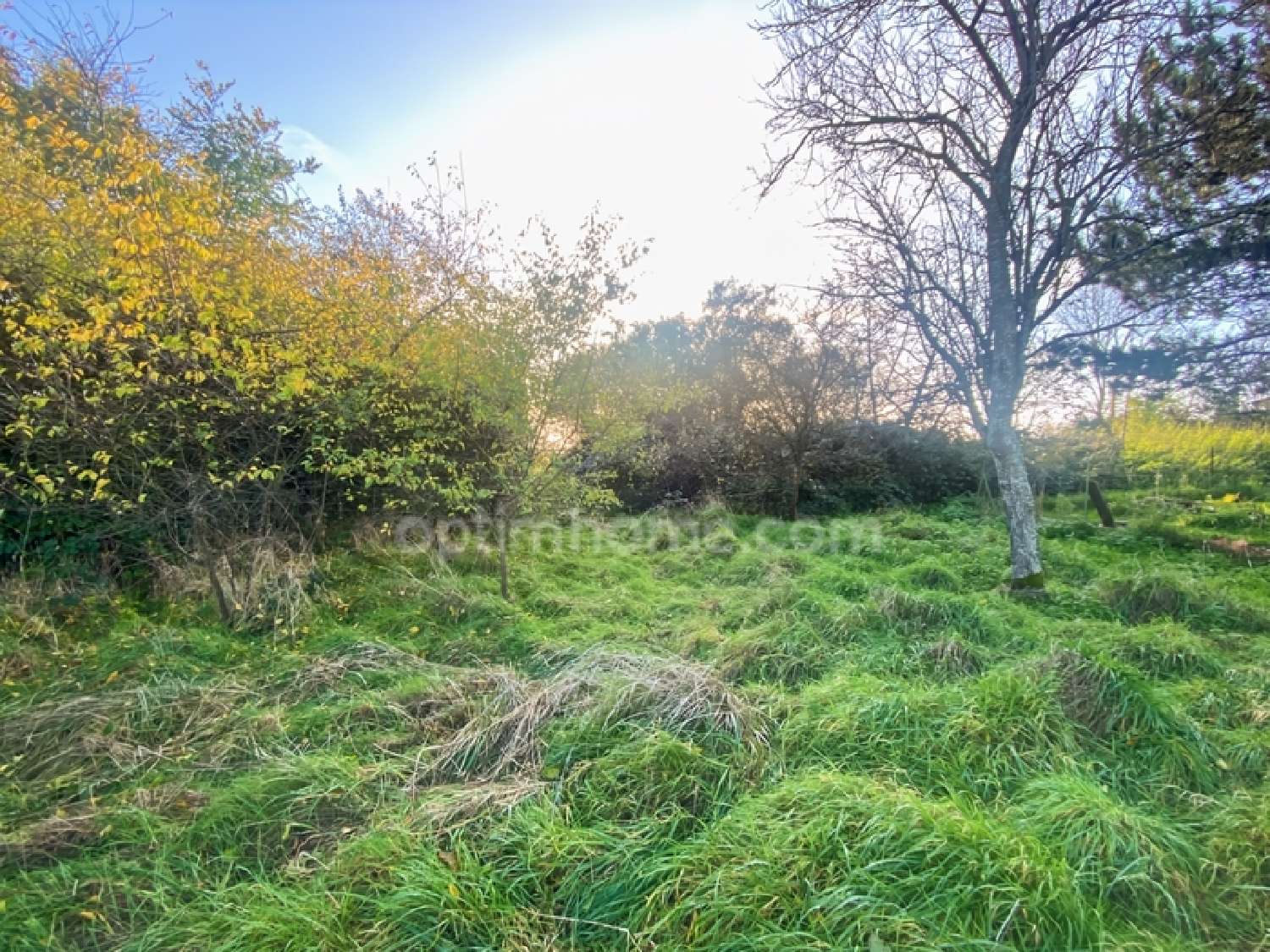  en venta terreno Velaine-sous-Amance Meurthe-et-Moselle 2