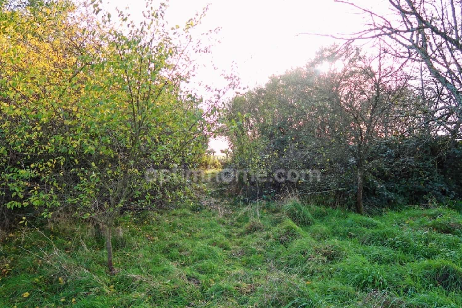  en venta terreno Velaine-sous-Amance Meurthe-et-Moselle 3