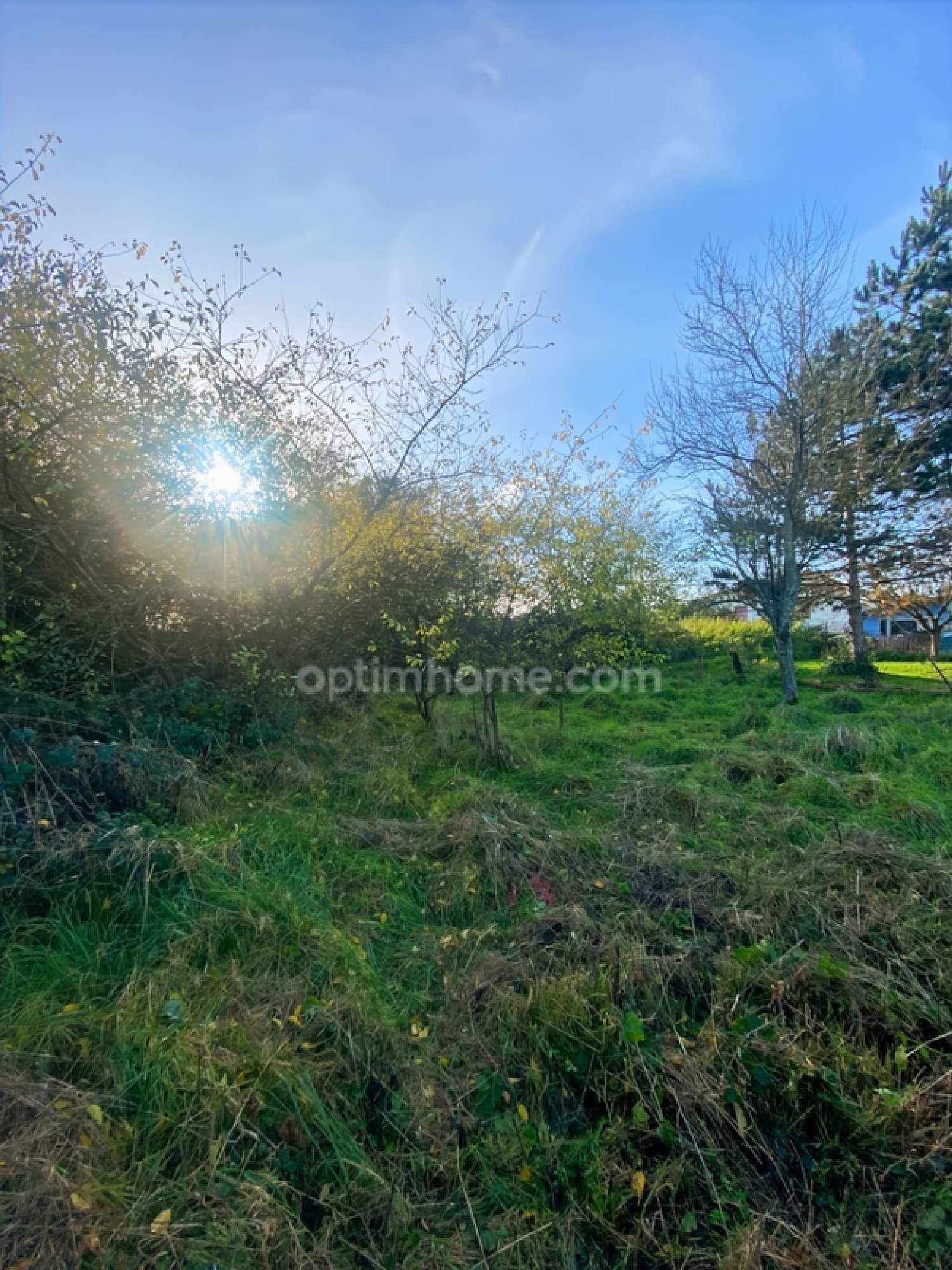  for sale terrain Velaine-sous-Amance Meurthe-et-Moselle 4