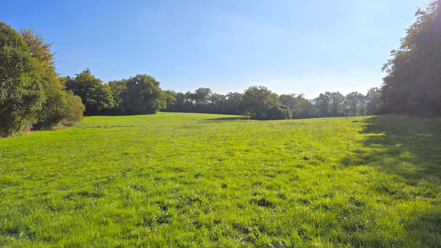 te koop terrein Veyrac Haute-Vienne 3