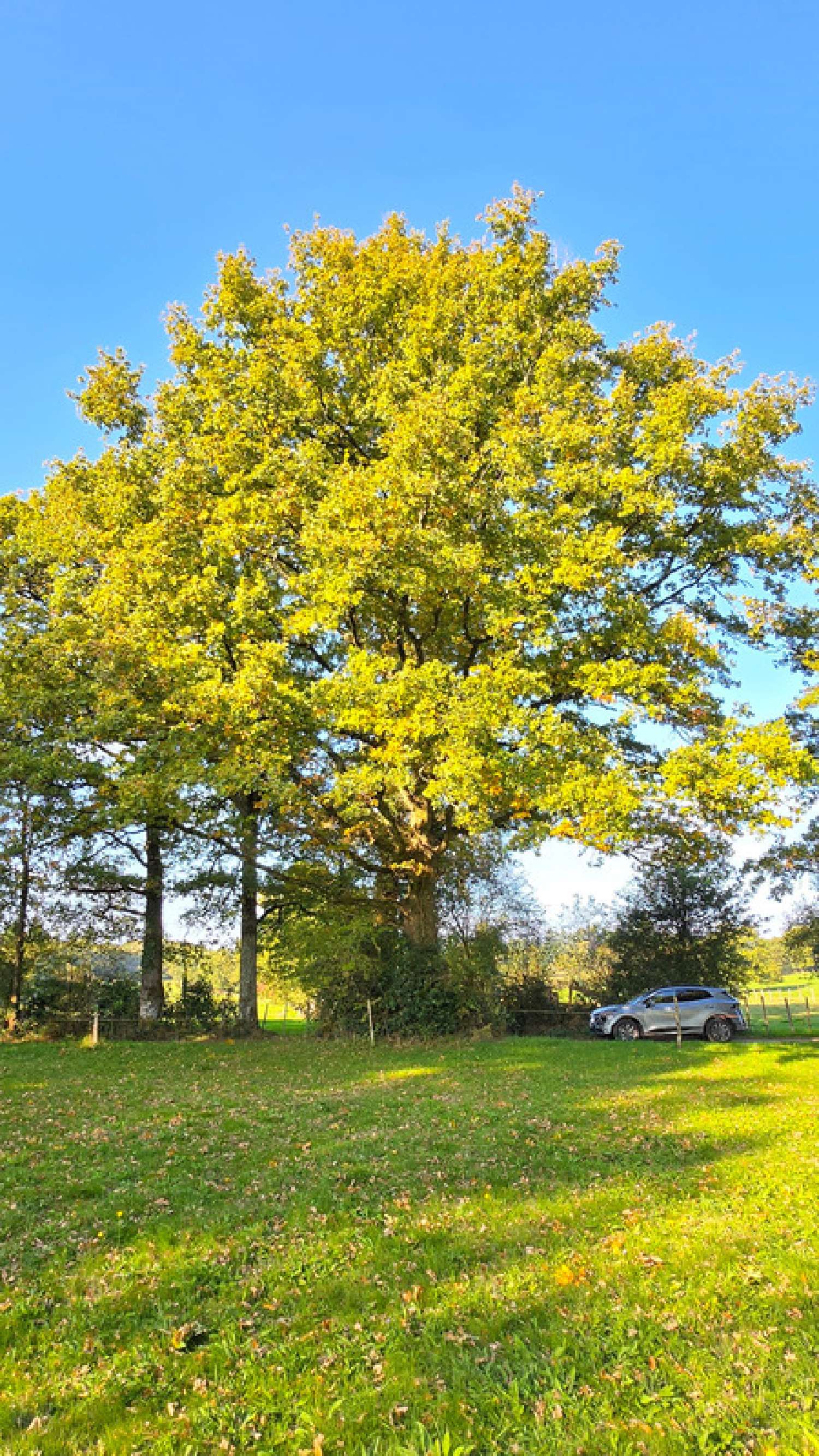 te koop terrein Veyrac Haute-Vienne 7