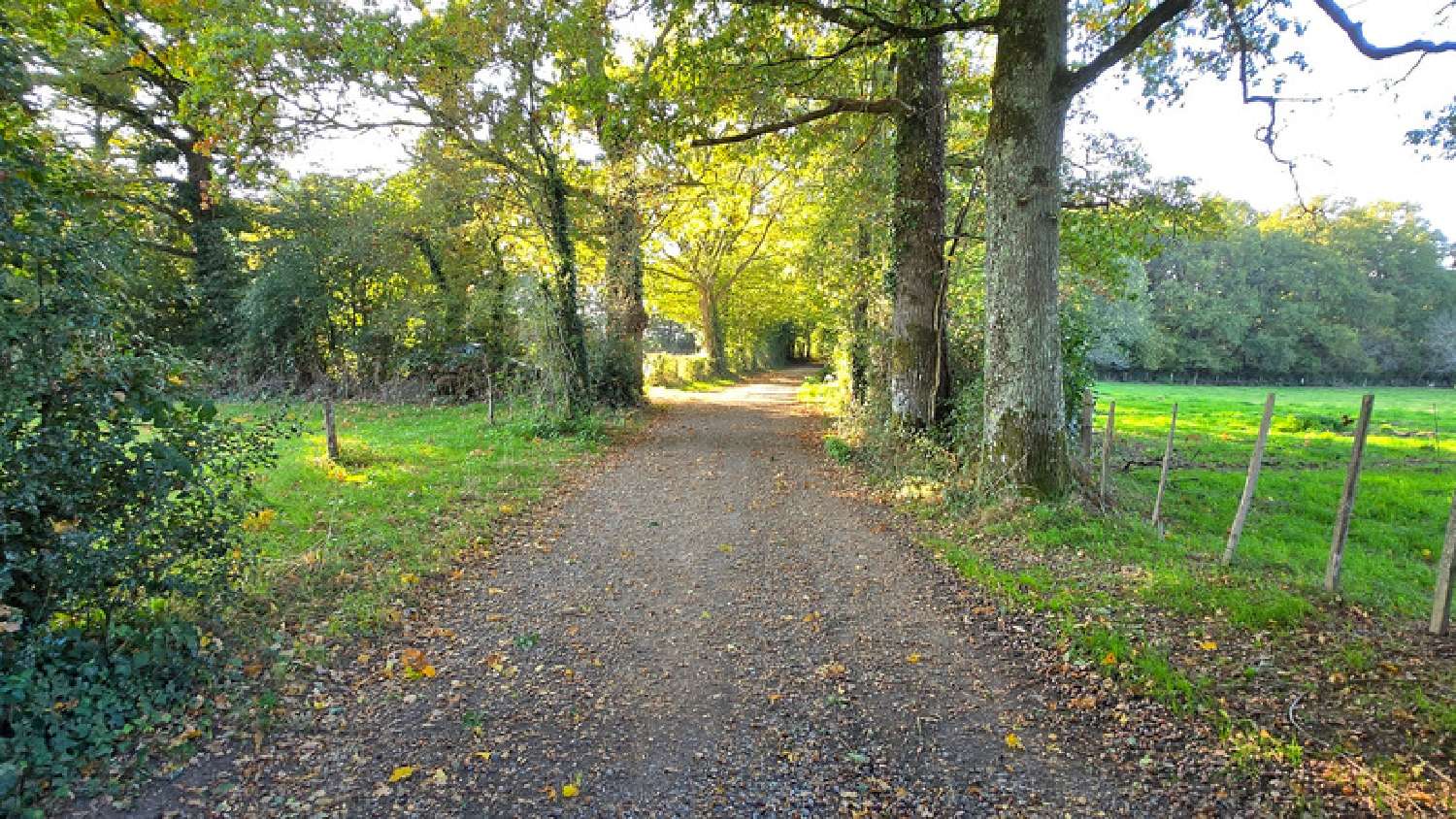 te koop terrein Veyrac Haute-Vienne 4