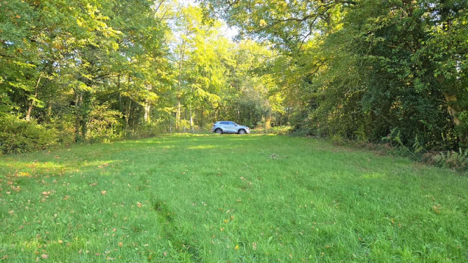 te koop terrein Veyrac Haute-Vienne 6