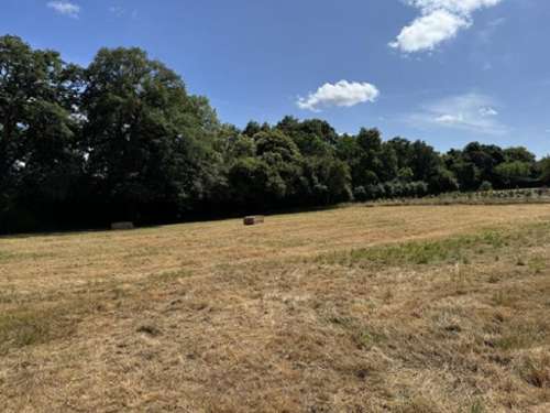 Le Cellier Loire-Atlantique terrain foto 7151257