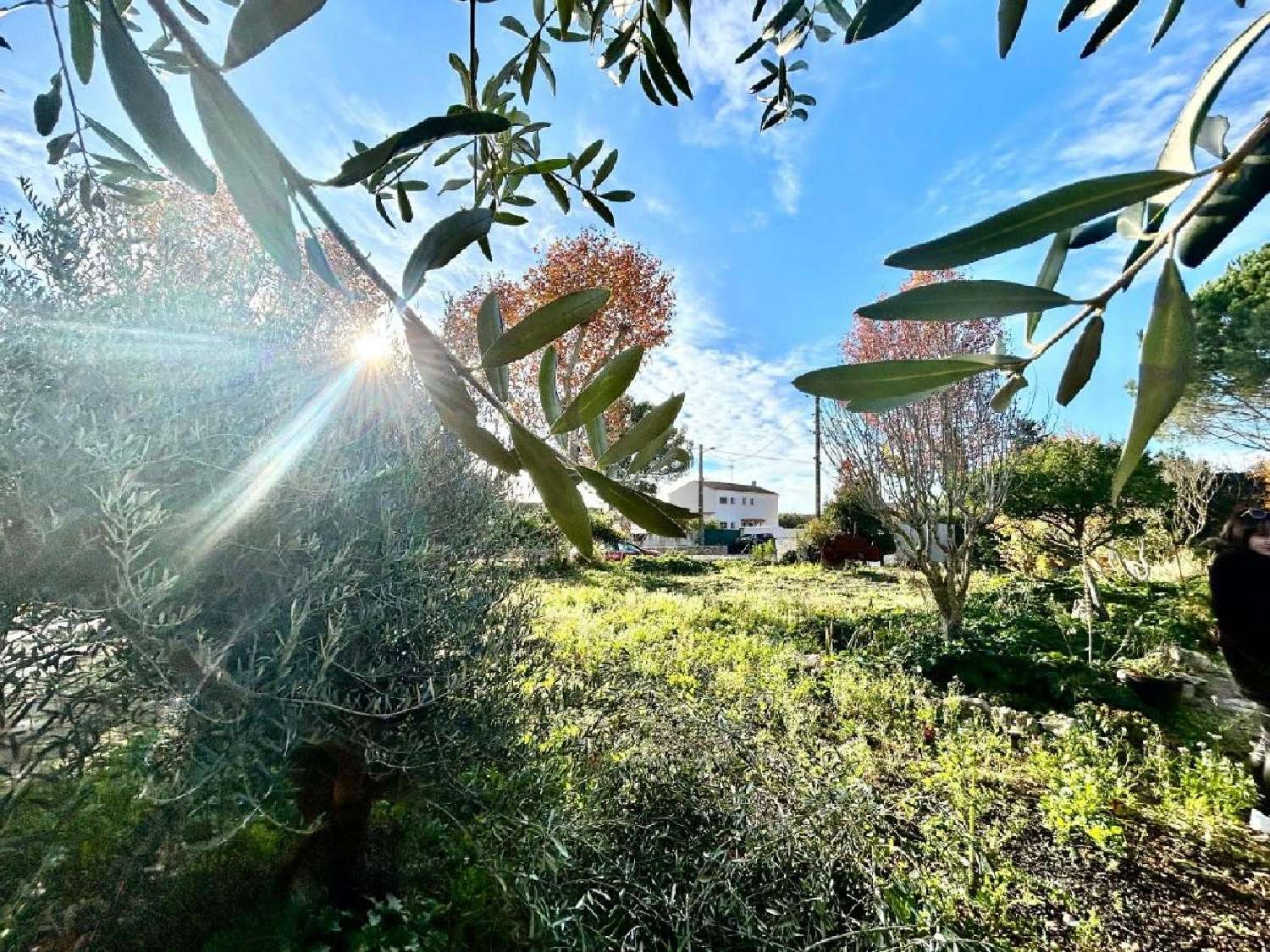 te koop terrein Villeveyrac Hérault 1