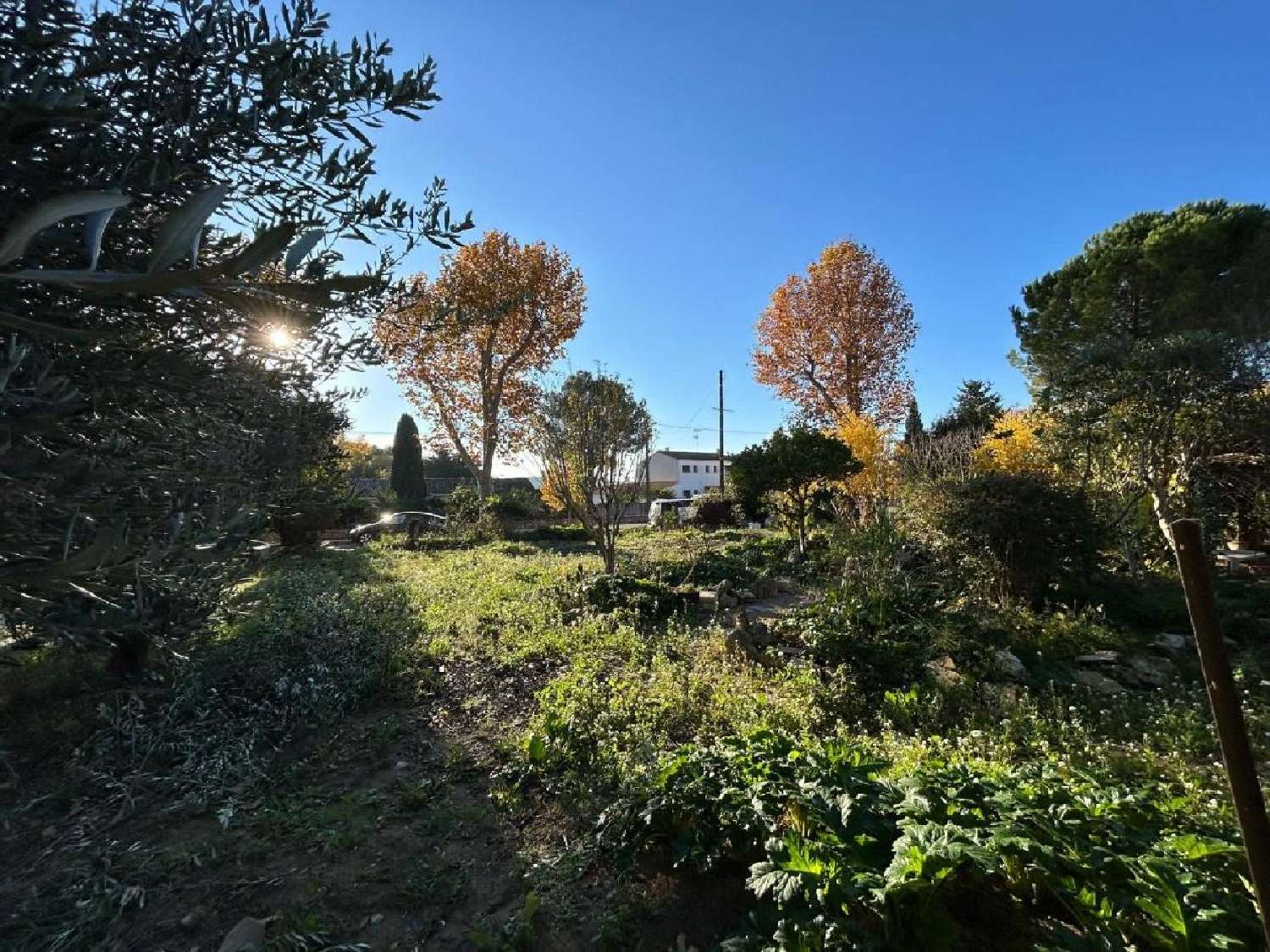 te koop terrein Villeveyrac Hérault 2