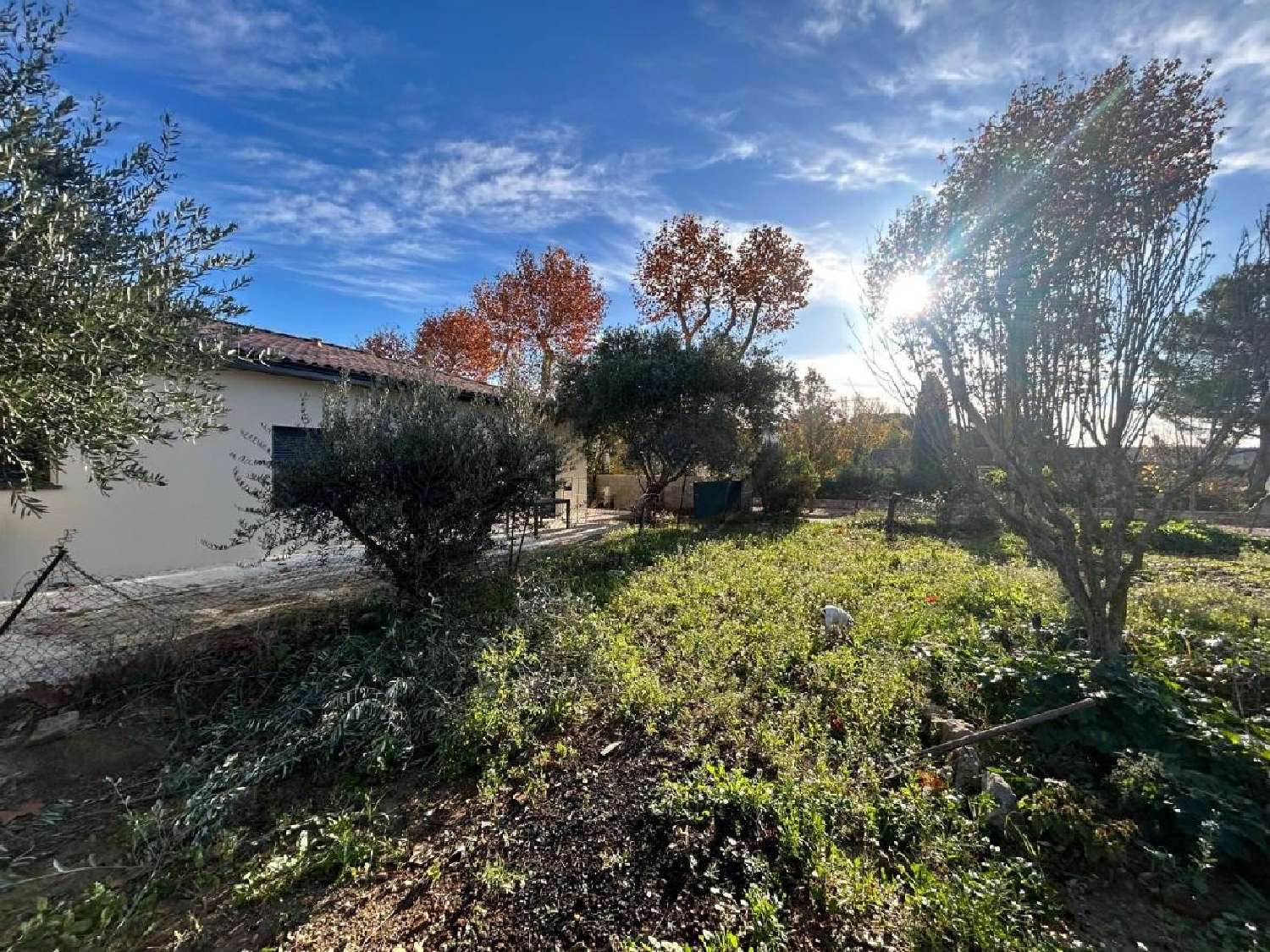 te koop terrein Villeveyrac Hérault 4