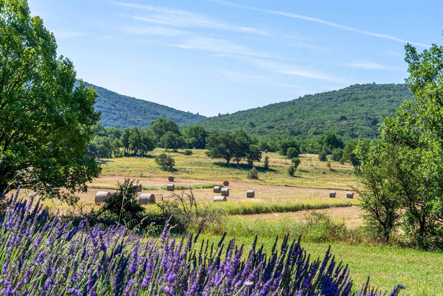  à vendre villa Aix-en-Provence Bouches-du-Rhône 2