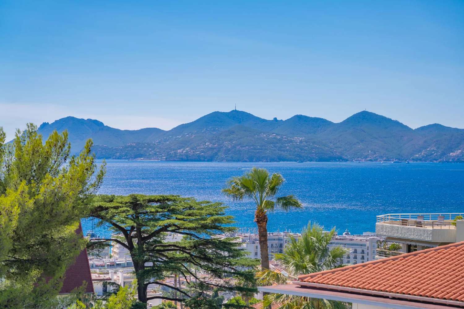  à vendre villa Cannes Alpes-Maritimes 2