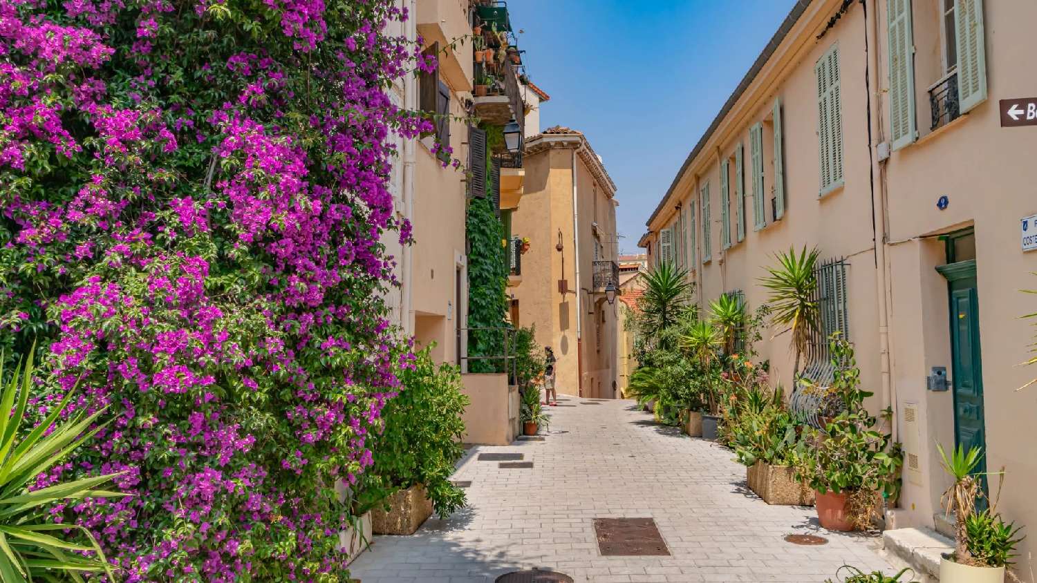  te koop villa Cannes Alpes-Maritimes 2