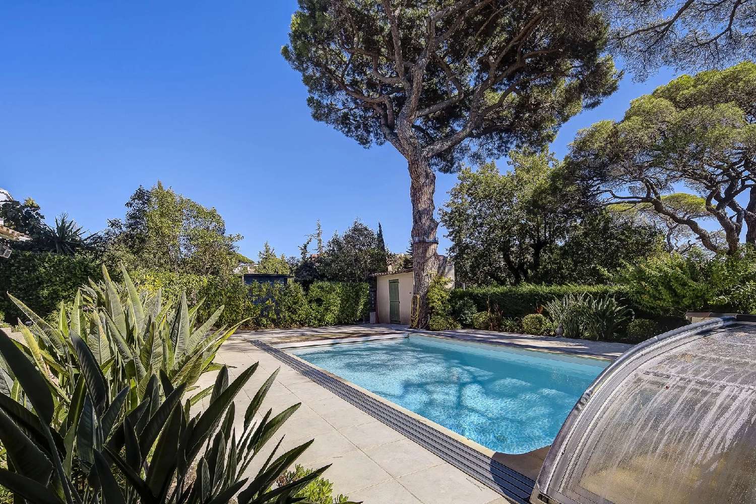  à vendre villa Cannes Alpes-Maritimes 3
