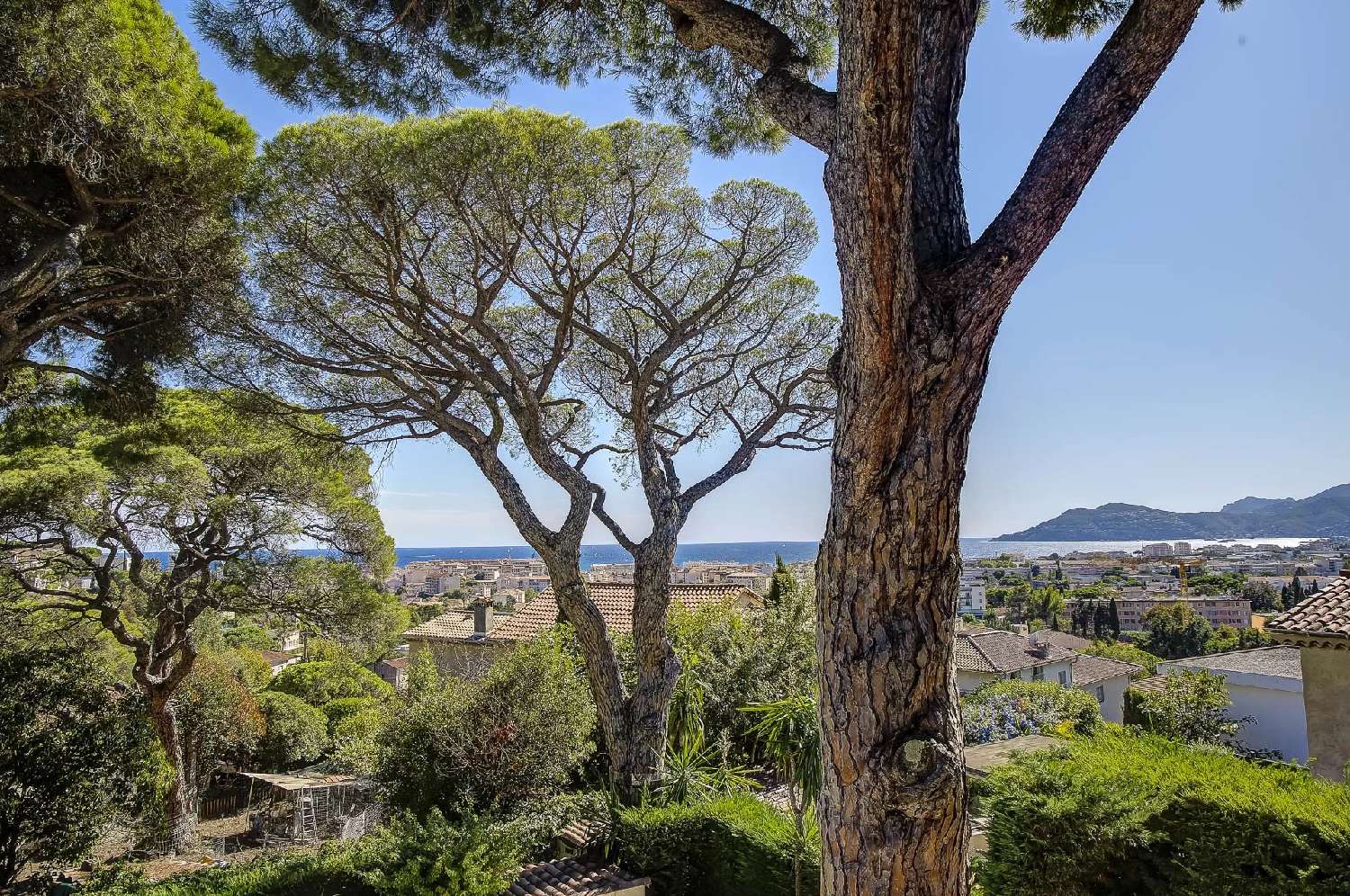  à vendre villa Cannes Alpes-Maritimes 4