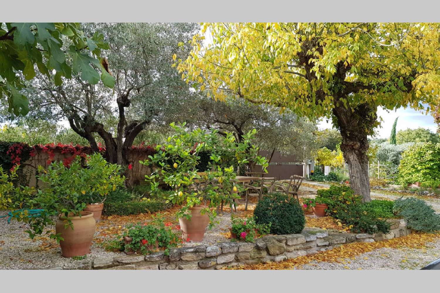  te koop villa Caromb Vaucluse 8