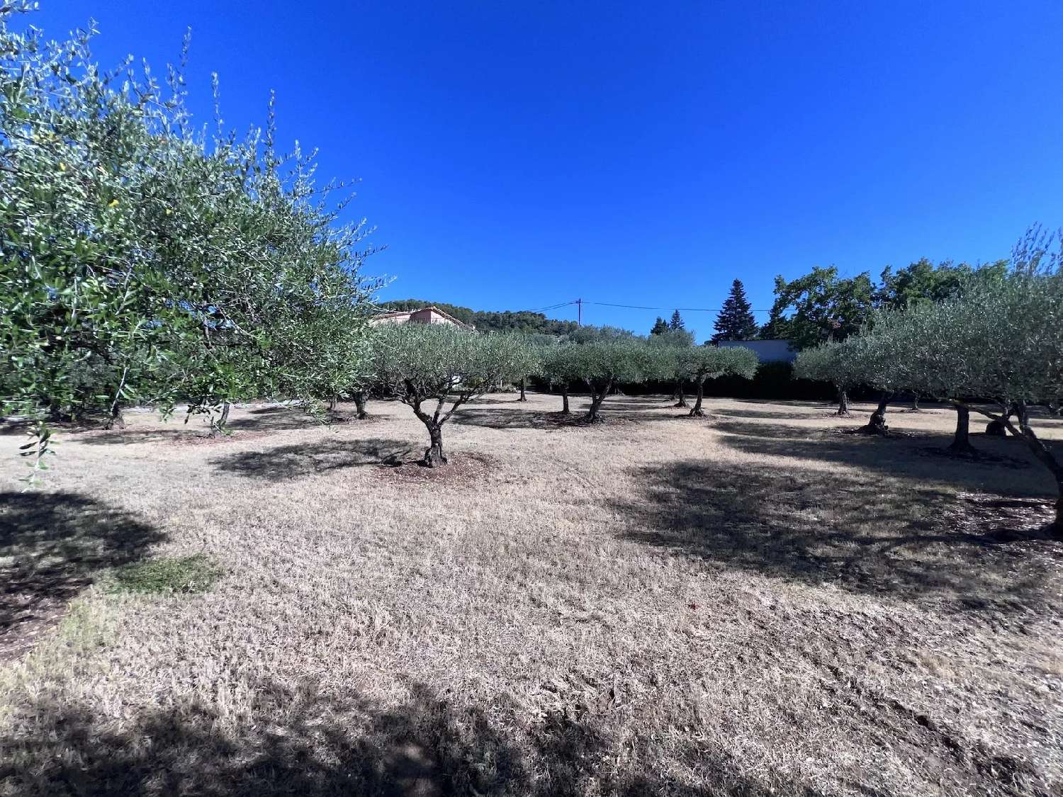  te koop villa Cotignac Var 8