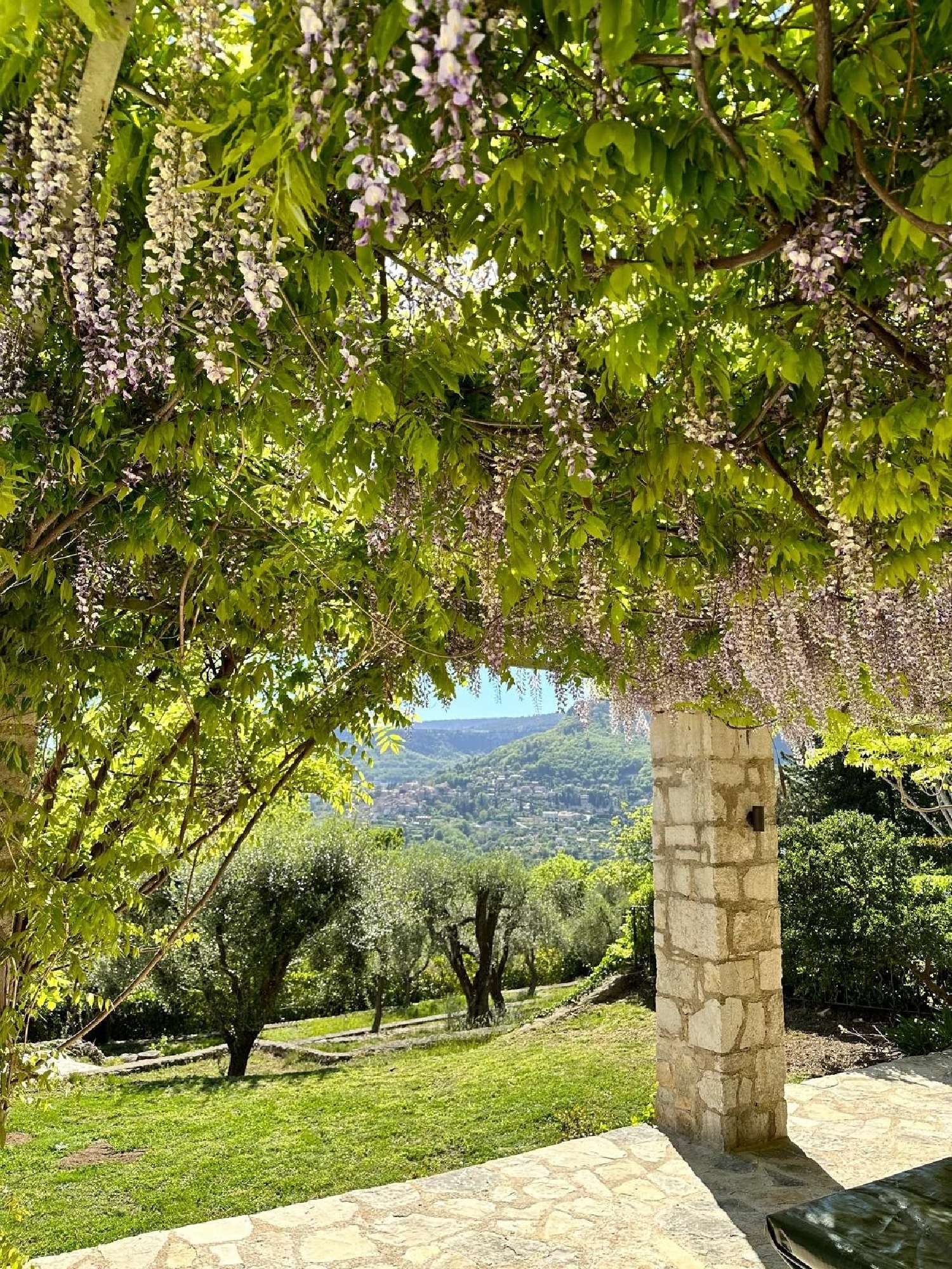  à vendre villa Coursegoules Alpes-Maritimes 6