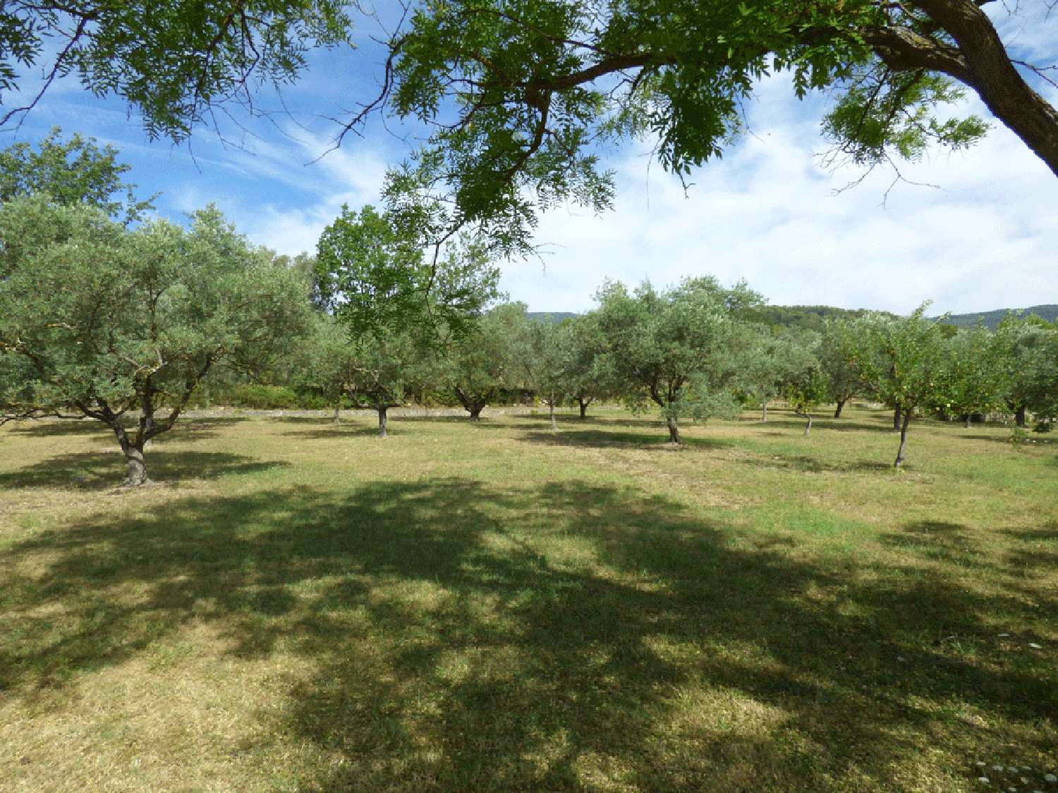  te koop villa Fayence Var 2