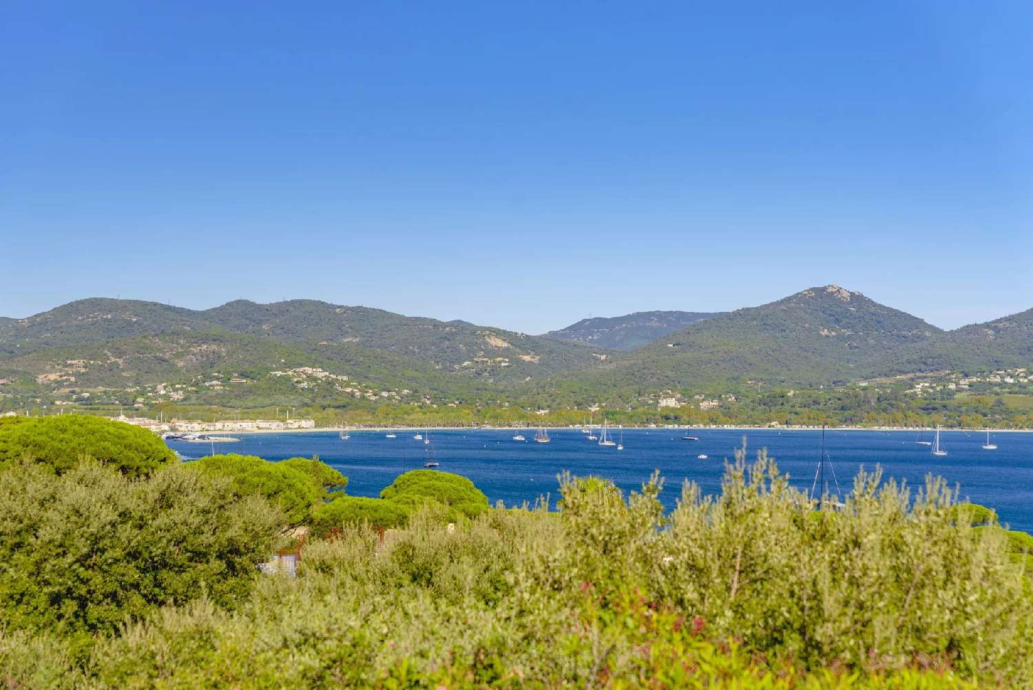  à vendre villa Gassin Var 5