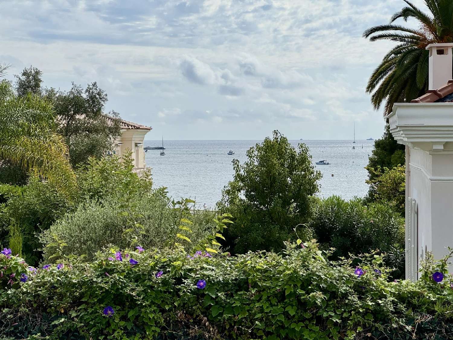  à vendre villa Juan-les-Pins Alpes-Maritimes 3