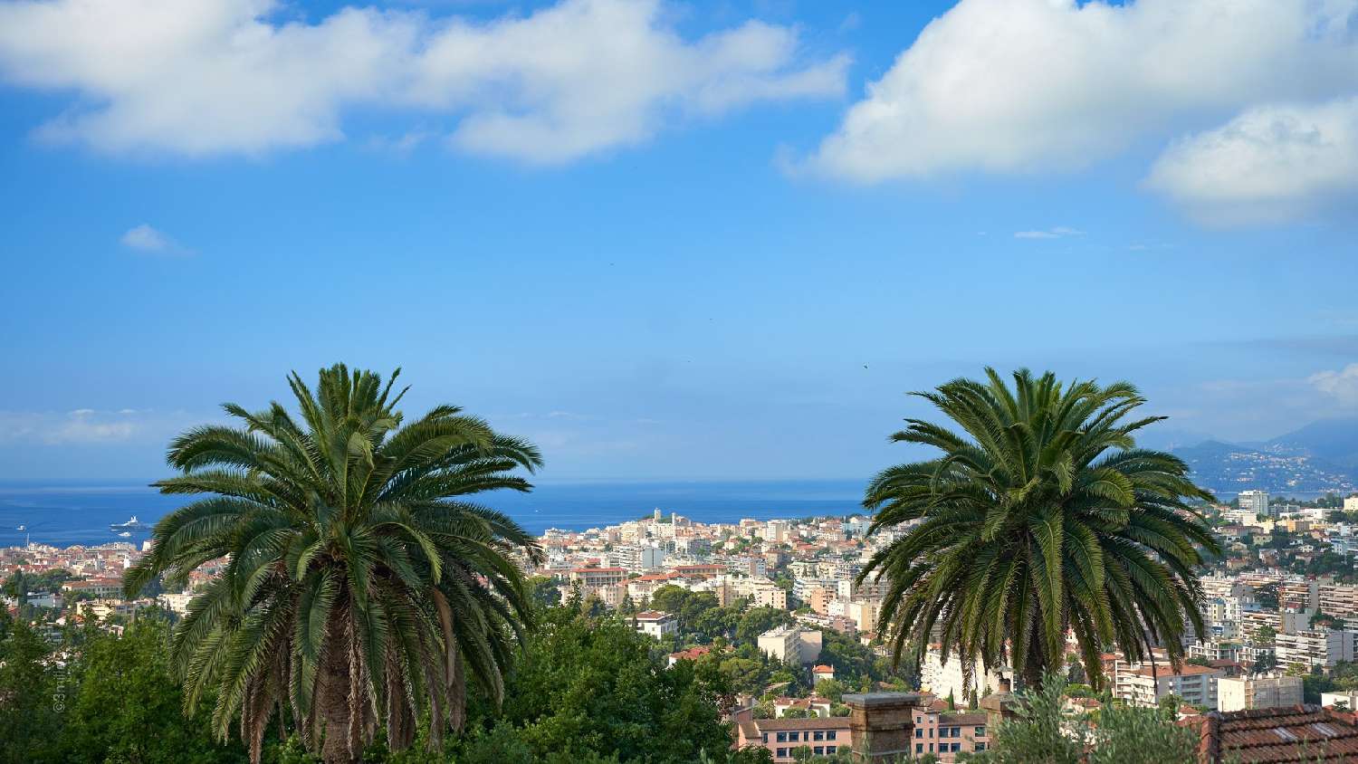  kaufen Villa Le Cannet Alpes-Maritimes 4