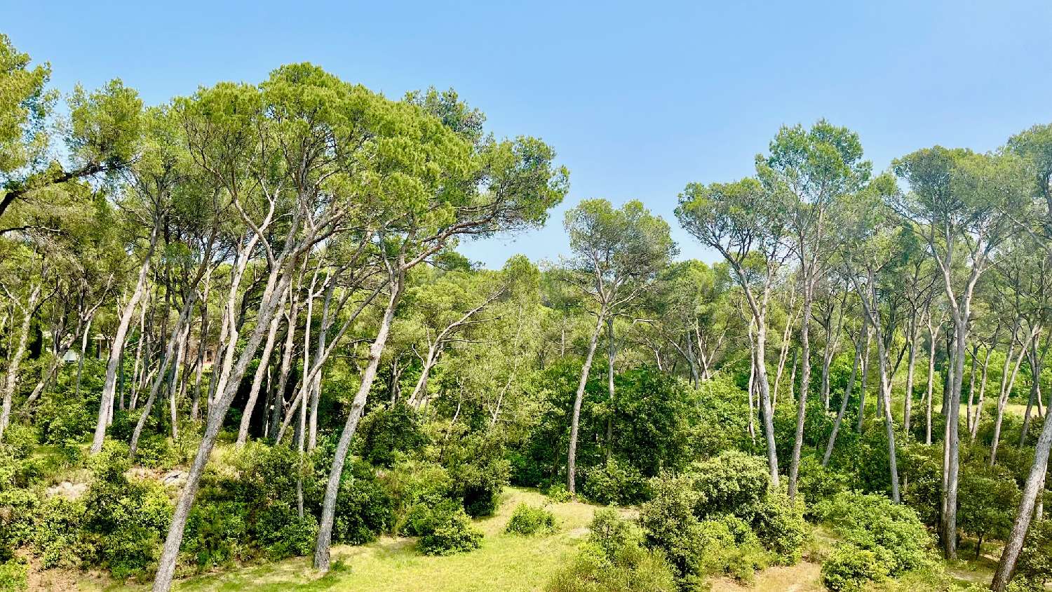  en venta villa Le Pontet Vaucluse 8