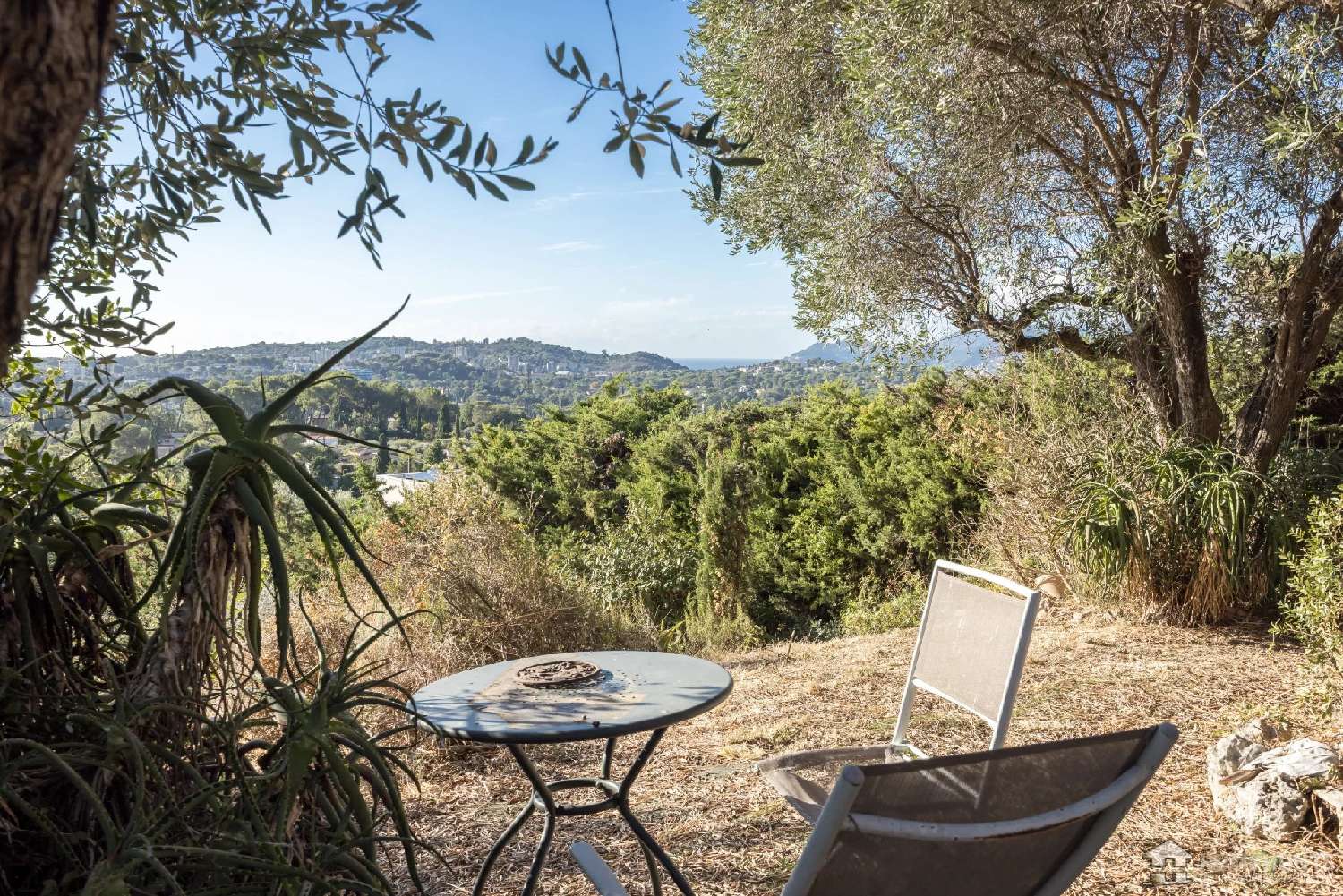  for sale villa Mougins Alpes-Maritimes 3
