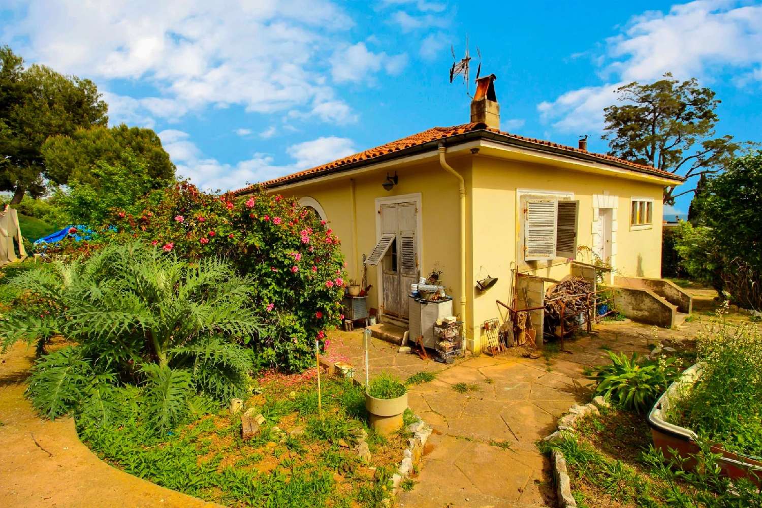 for sale villa Nice Alpes-Maritimes 4
