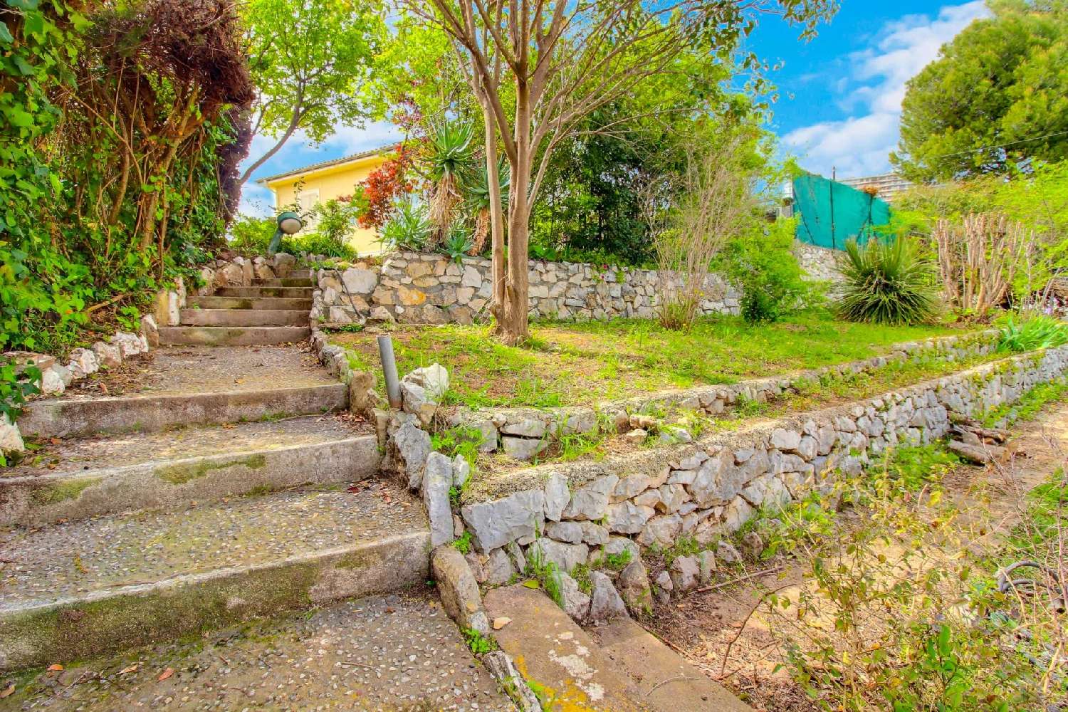 for sale villa Nice Alpes-Maritimes 5