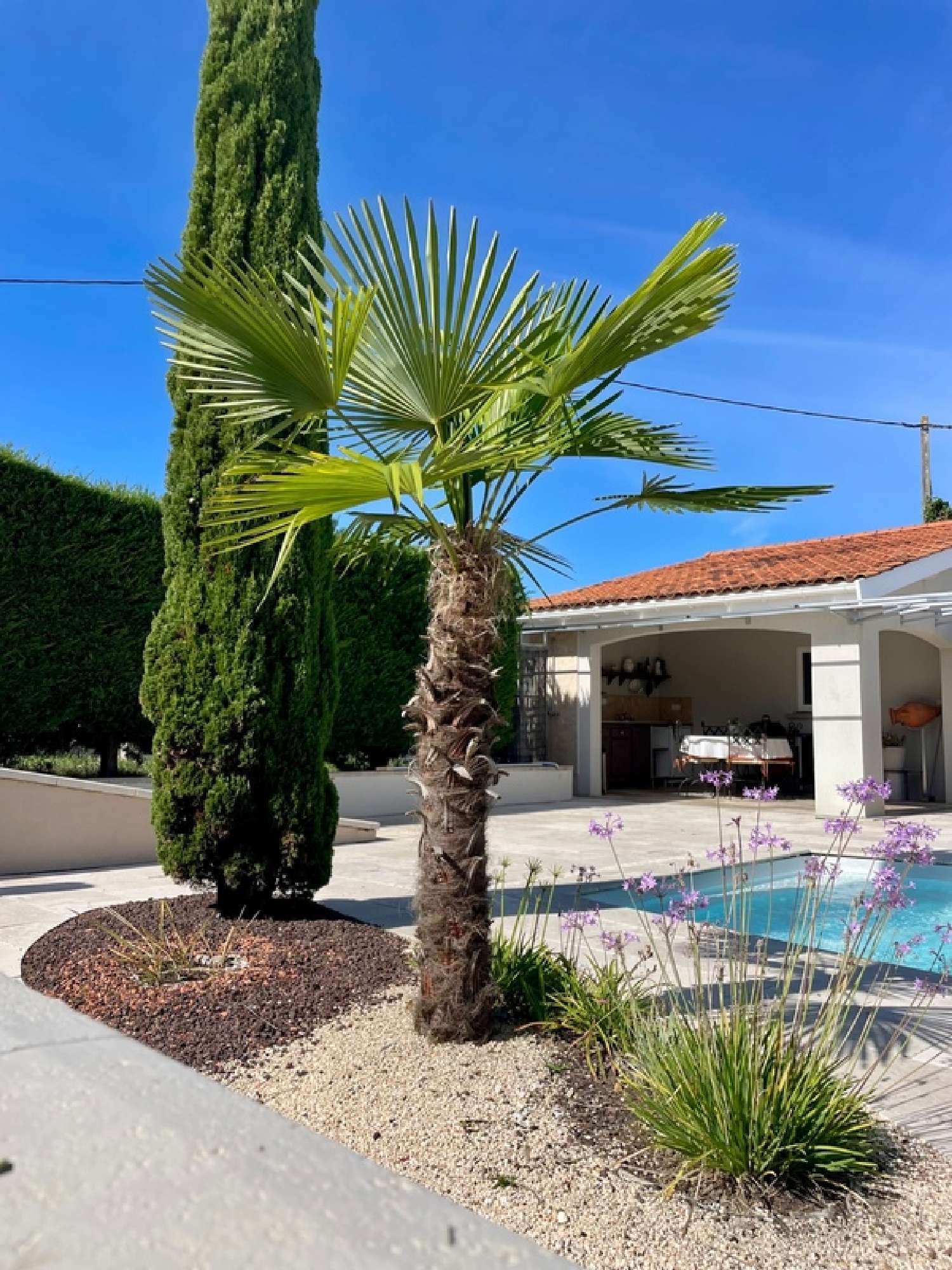  for sale villa Saint-Loubès Gironde 3