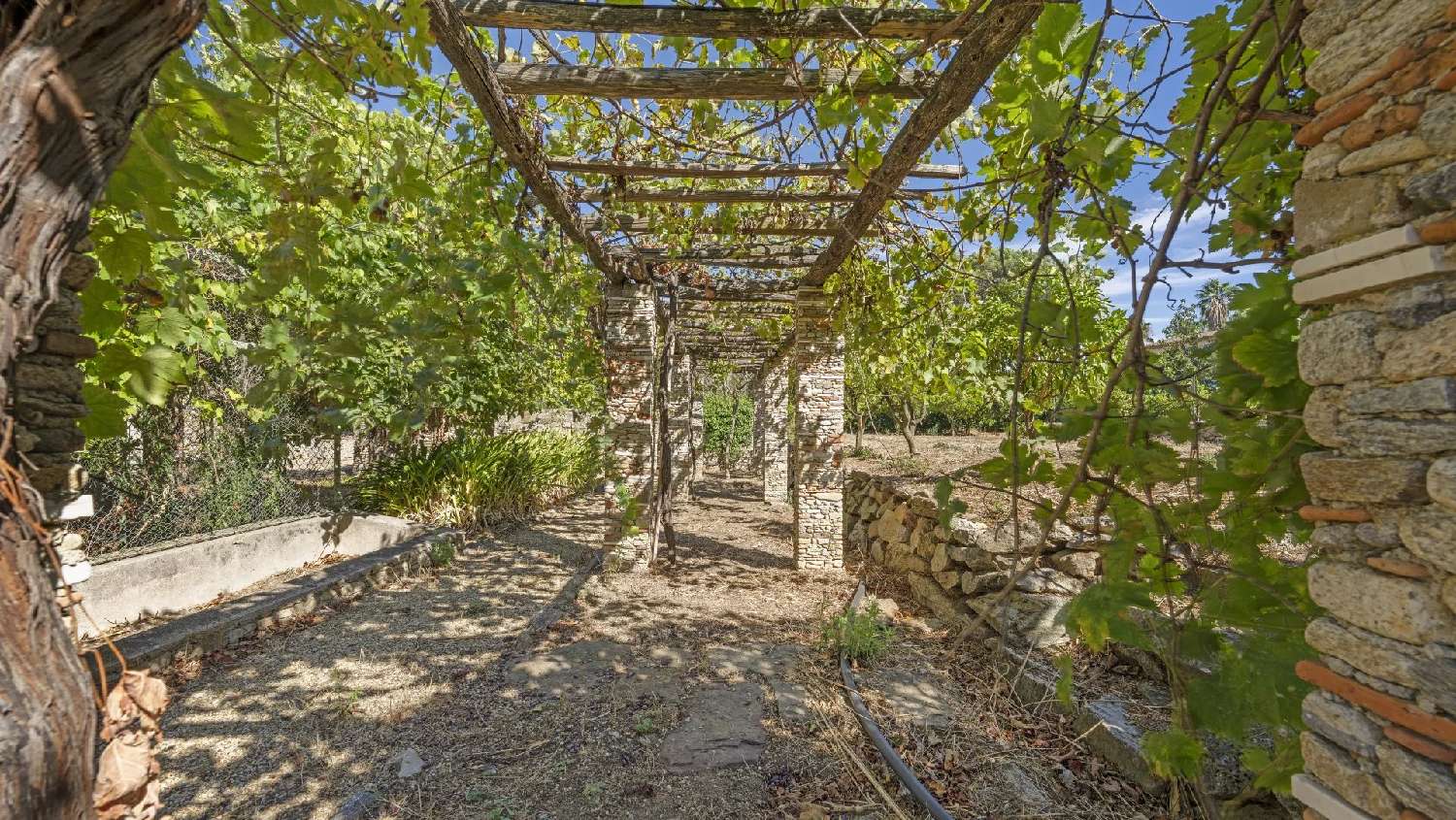  à vendre villa Saint-Tropez Var 5