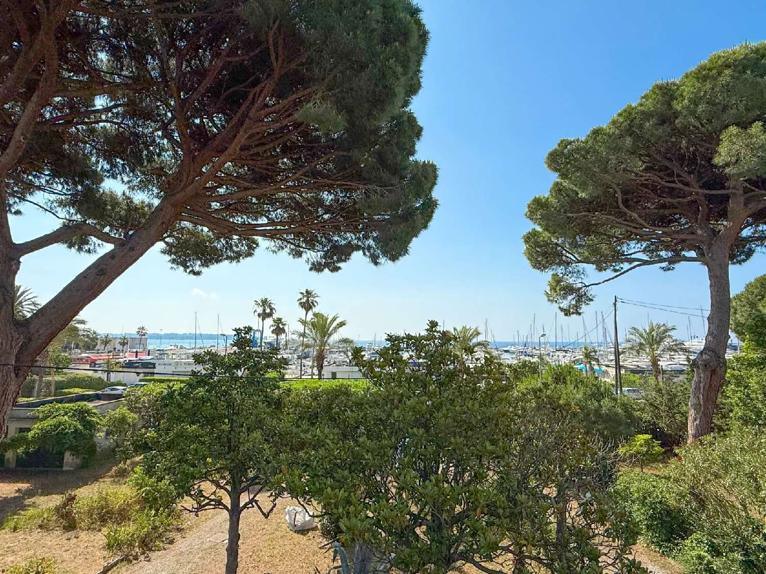  en venta villa Vallauris Alpes-Maritimes 3