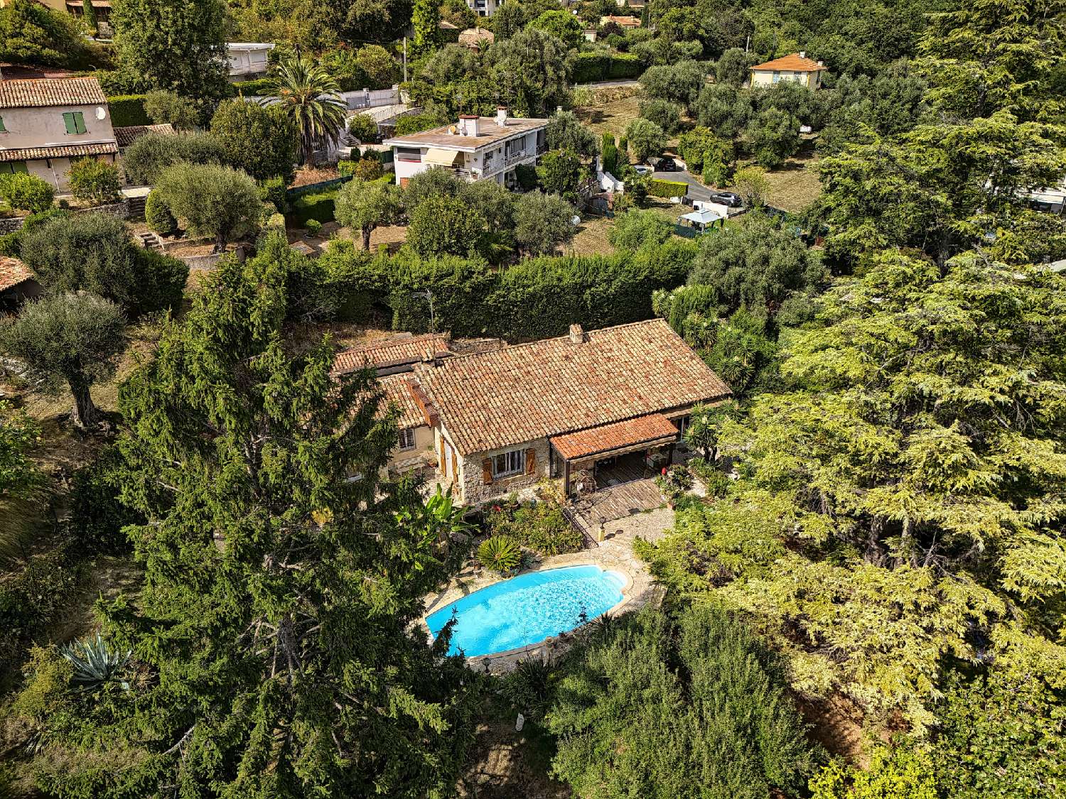  à vendre villa Vence Alpes-Maritimes 2