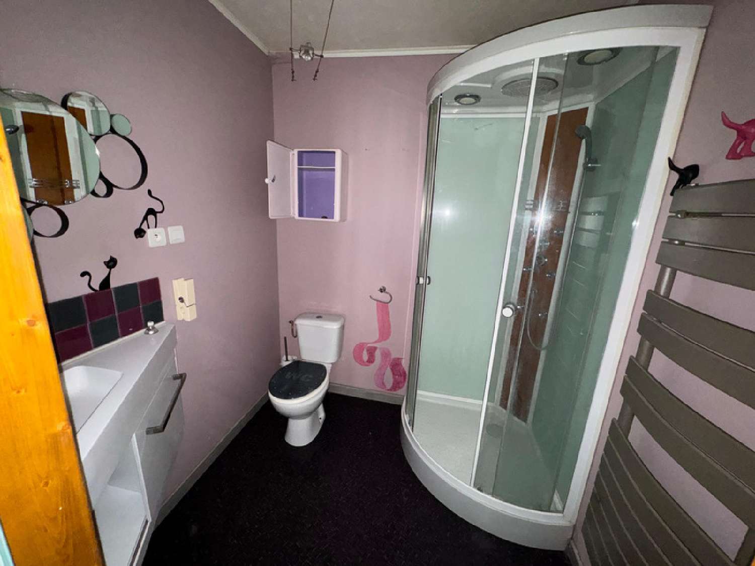  for sale village house Montseveroux Isère 7