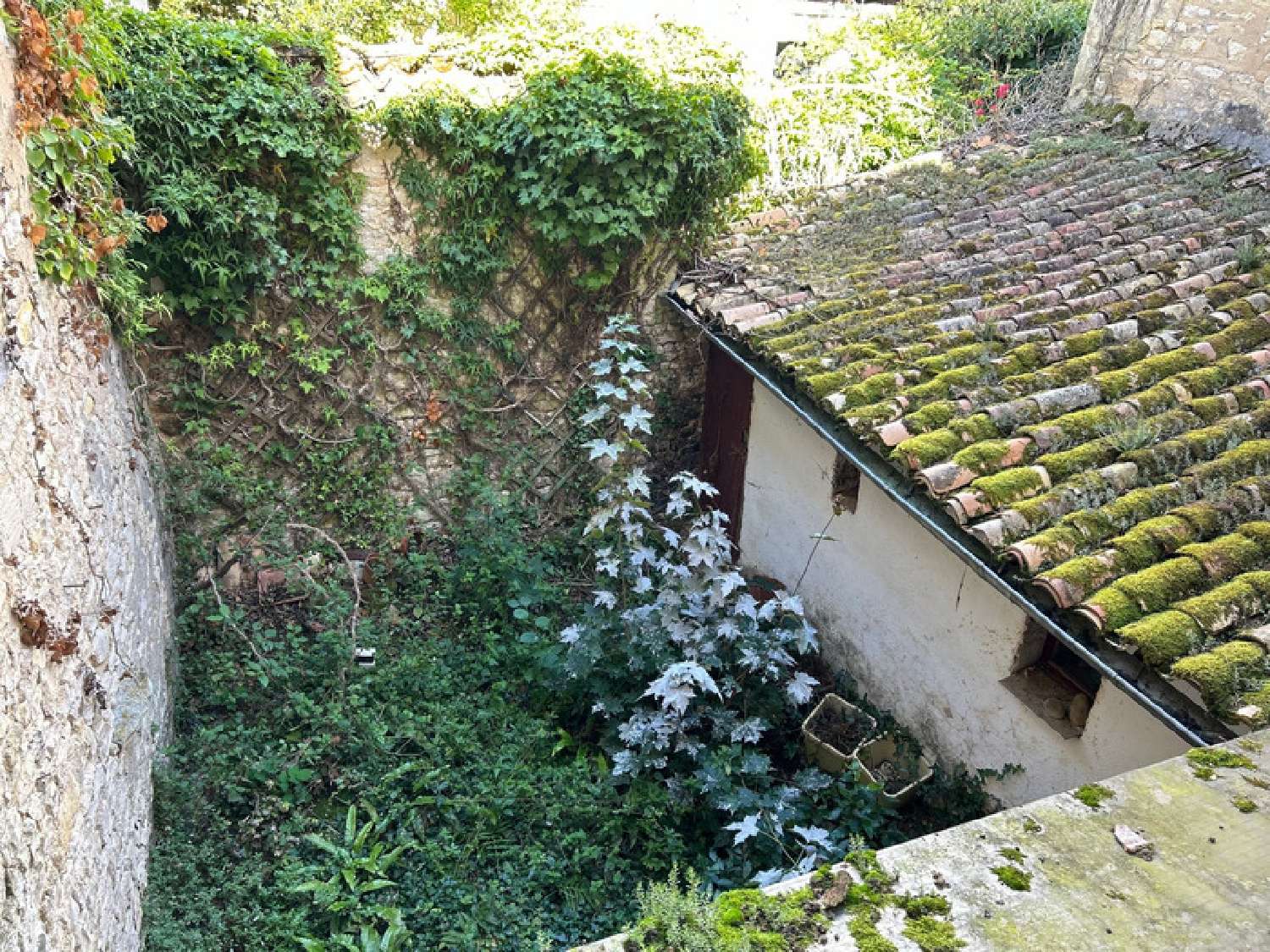  kaufen Dorfhaus Pamproux Deux-Sèvres 2