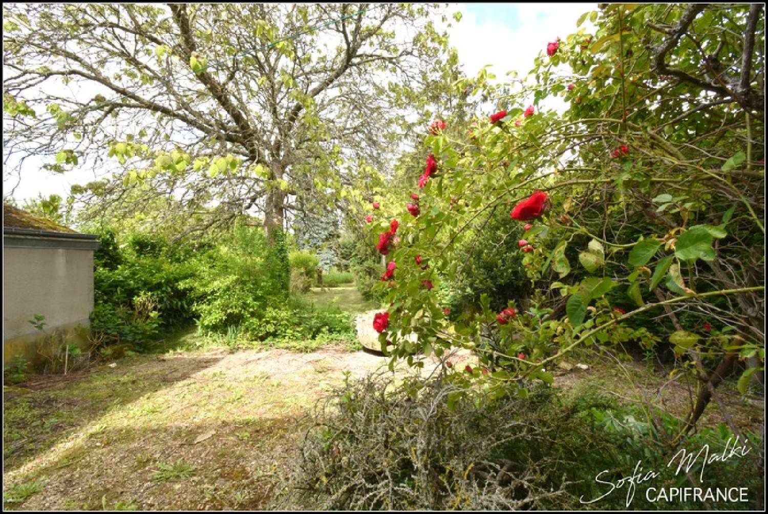  en venta casa de pueblo Préveranges Cher 6