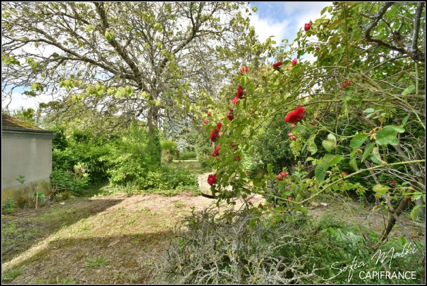  en venta casa de pueblo Préveranges Cher 3