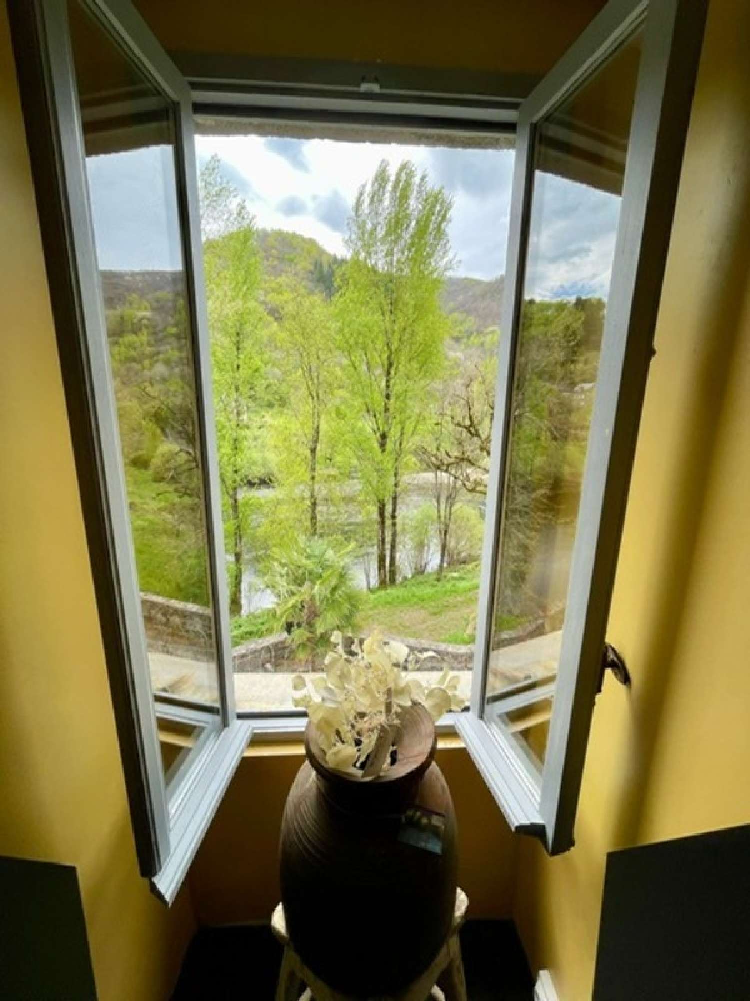 for sale village house Vieillevie Cantal 1