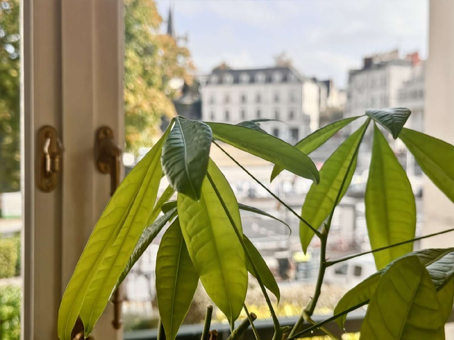  te koop appartement Angers 49100 Maine-et-Loire 1