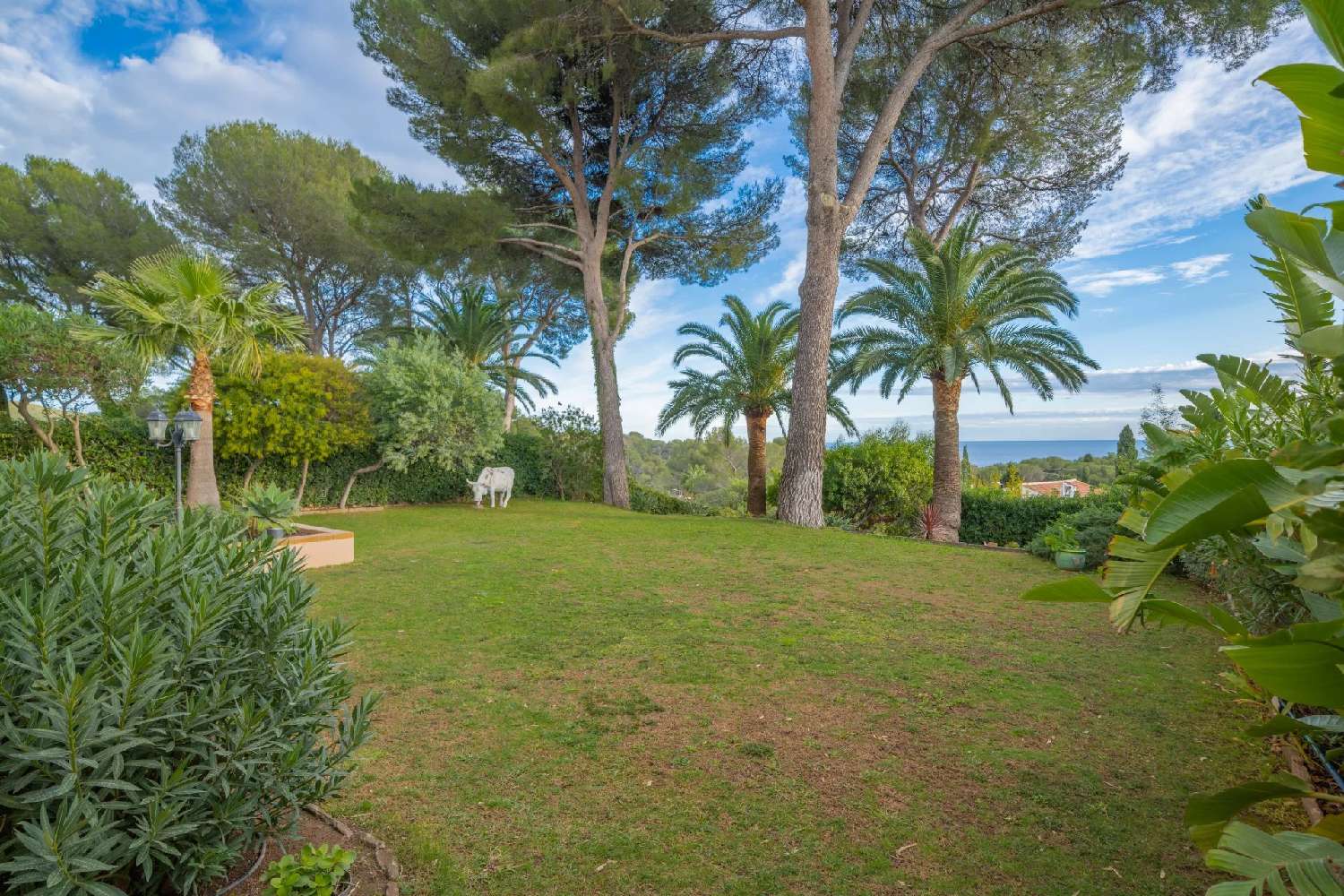  kaufen Wohnung/ Apartment Anthéor Var 7