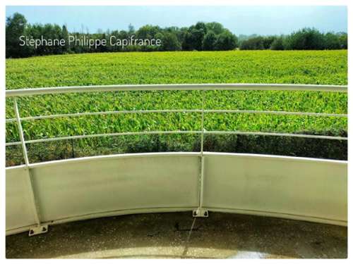 Auray Morbihan apartment foto 7170103