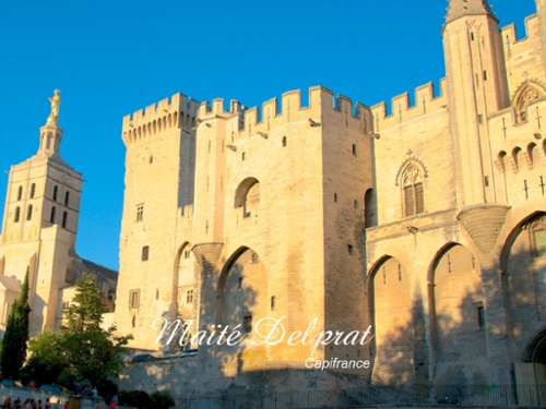 Avignon Vaucluse Wohnung/ Apartment Bild 7208693