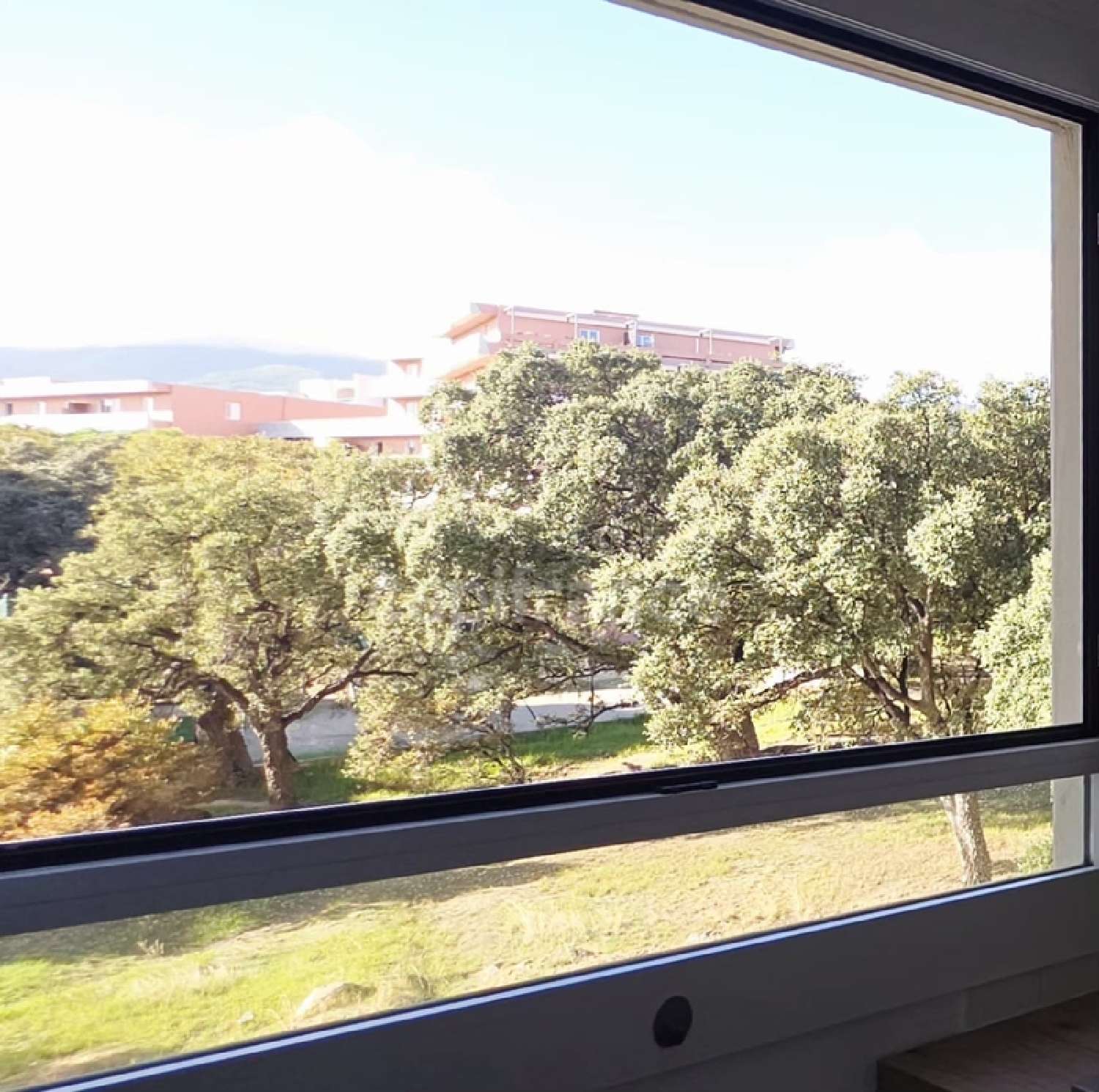  for sale apartment Bastia Haute-Corse 5