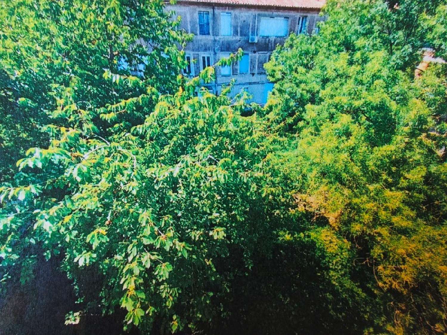 te koop appartement Bédarieux Hérault 1