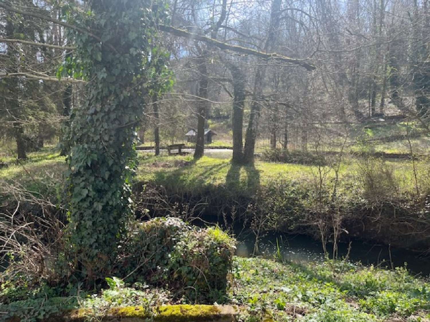 te koop appartement Bourbonne-les-Bains Haute-Marne 5