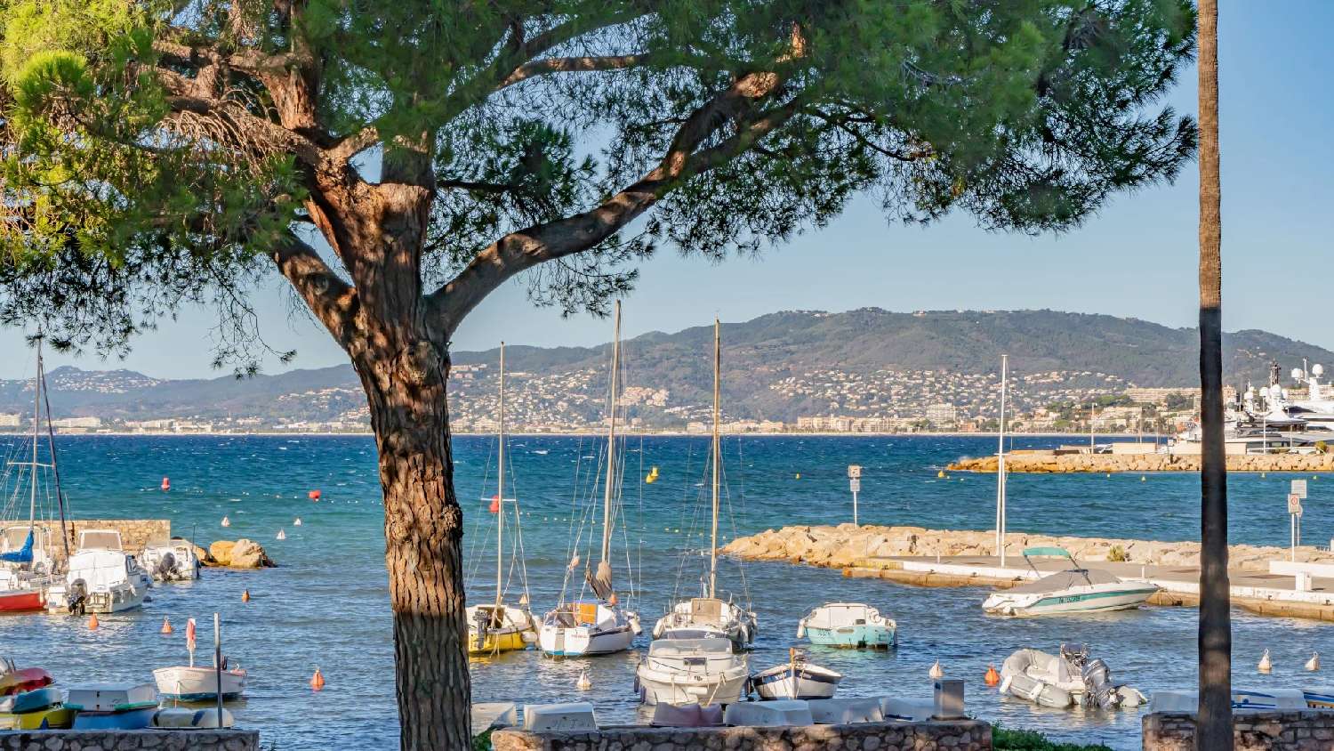 te koop appartement Cannes Alpes-Maritimes 3