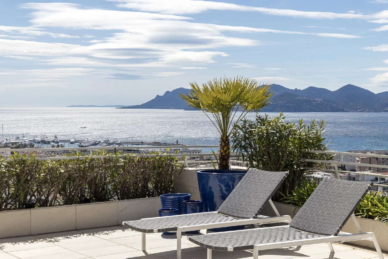 te koop appartement Cannes Alpes-Maritimes 4