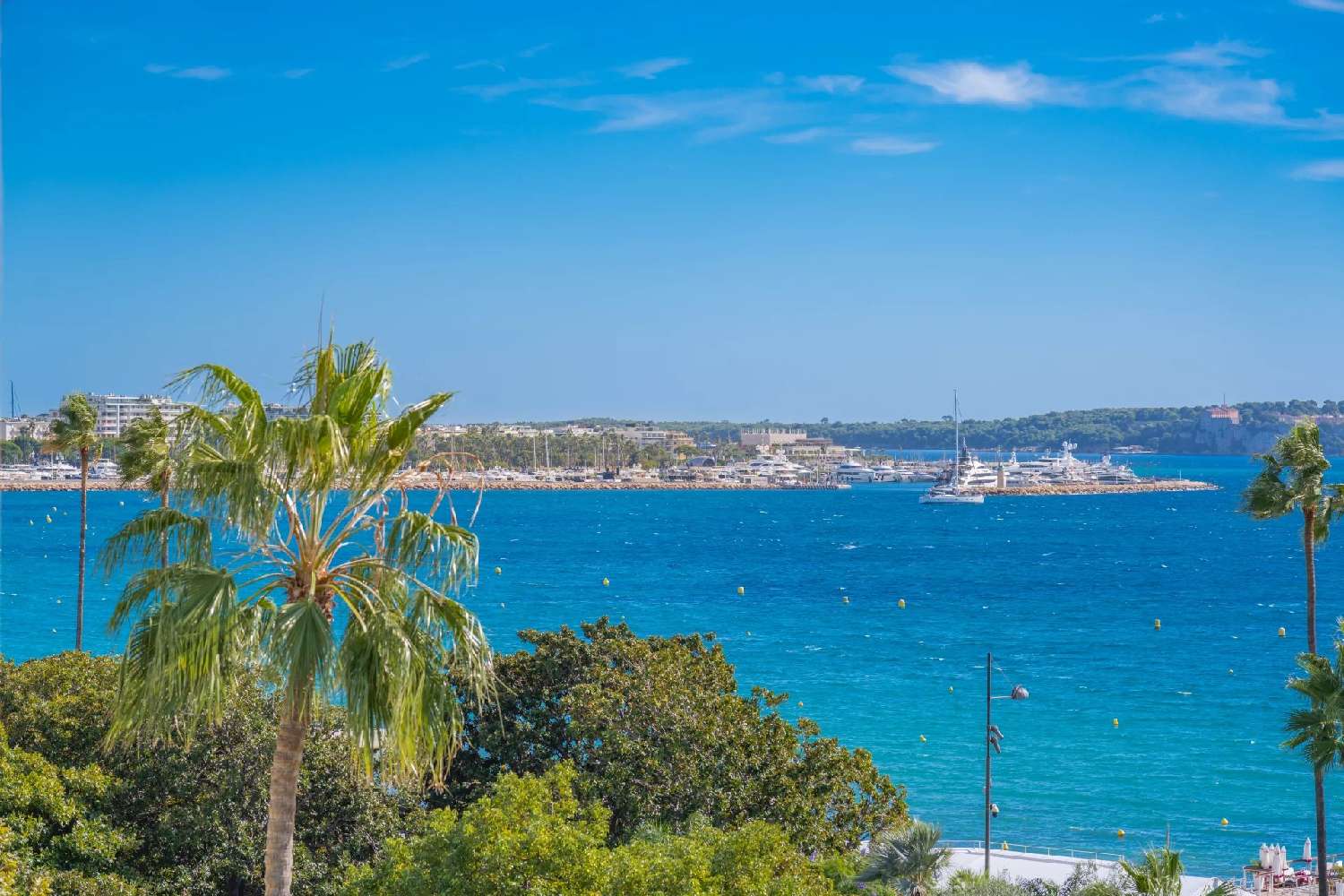  te koop appartement Cannes Alpes-Maritimes 3