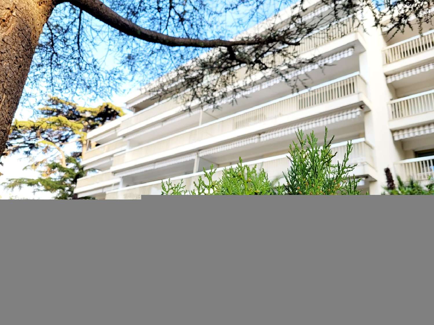  te koop appartement Cannes Alpes-Maritimes 2