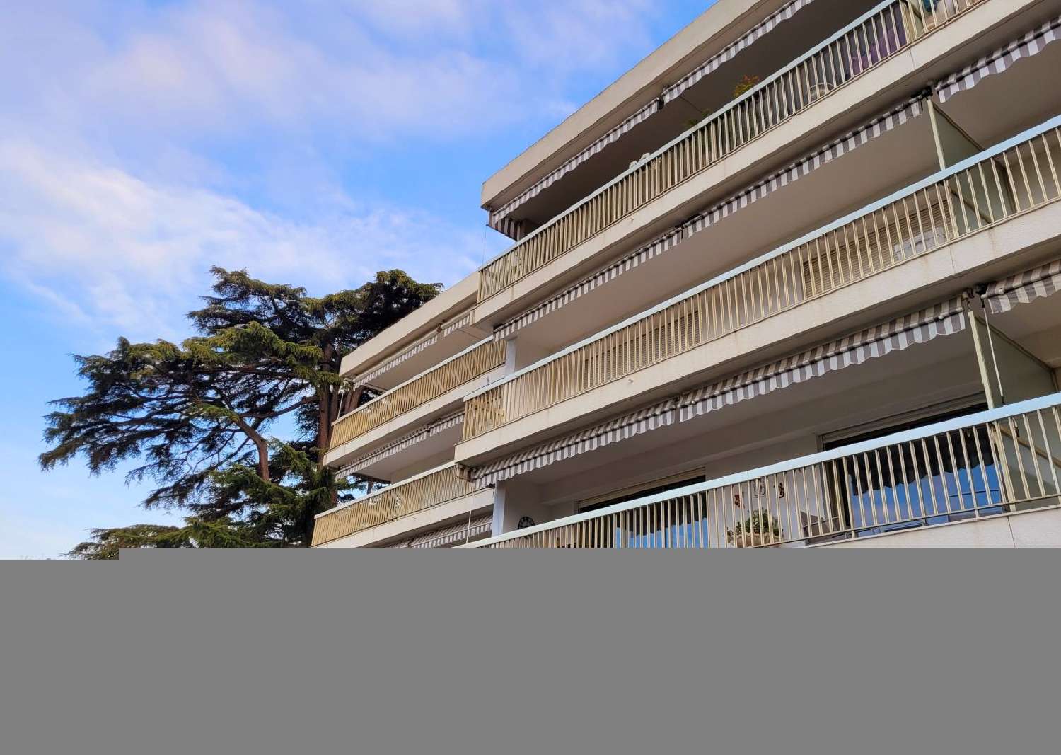  te koop appartement Cannes Alpes-Maritimes 4