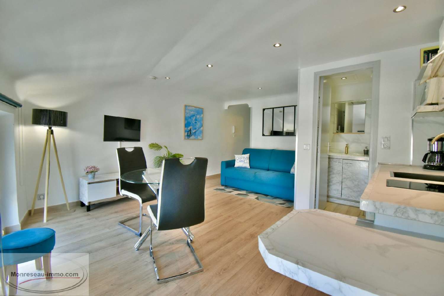  à vendre appartement Cannes Alpes-Maritimes 3